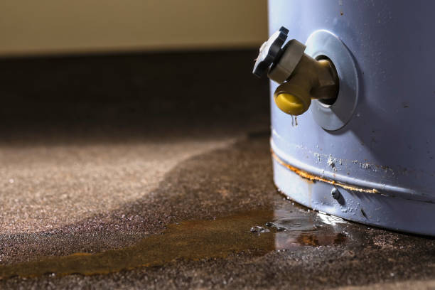Best Water damage restoration insurance claims  in Vernonia, OR
