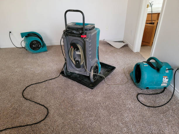 Best Basement water damage restoration  in Vernonia, OR