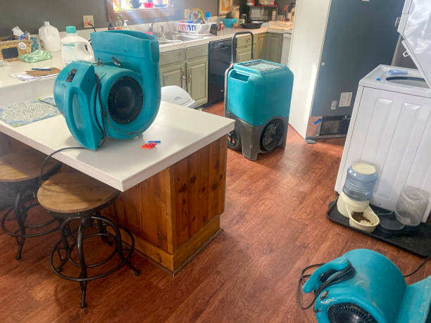 Best 24-hour water damage restoration  in Vernonia, OR