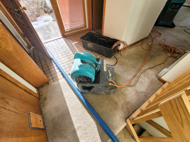 Sewage cleanup and water damage restoration in Vernonia, OR
