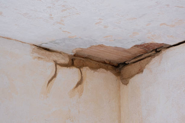 Best Emergency water damage restoration  in Vernonia, OR
