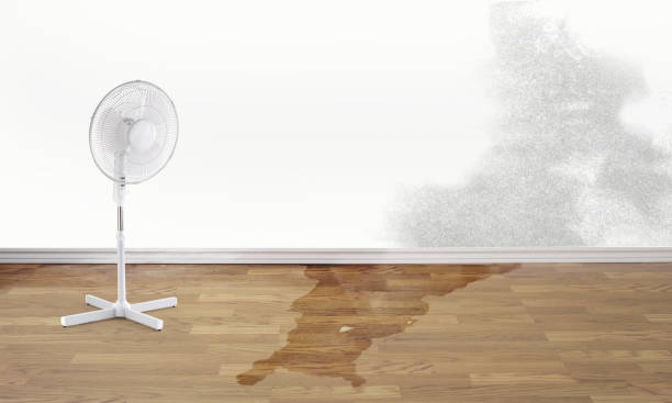 Water damage restoration experts in Vernonia, OR