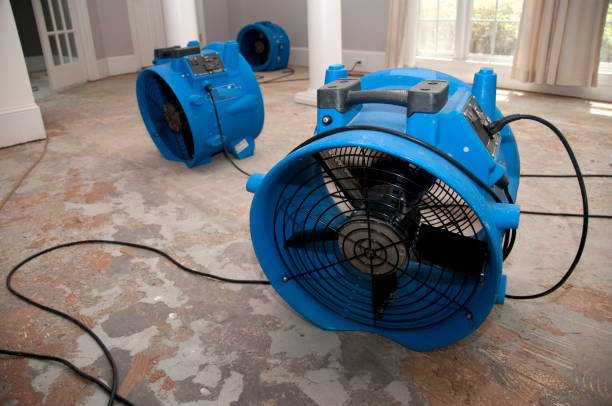 Best Sewage cleanup and water damage restoration  in Vernonia, OR