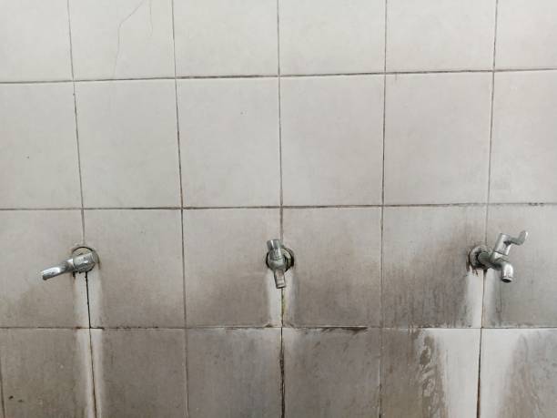 Best Ceiling water damage repair  in Vernonia, OR