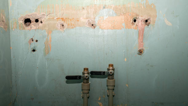 Best Mold removal after water damage  in Vernonia, OR