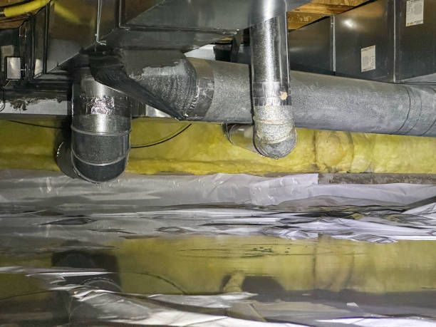 Best Local water damage restoration  in Vernonia, OR