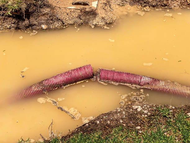 Best Emergency water extraction  in Vernonia, OR