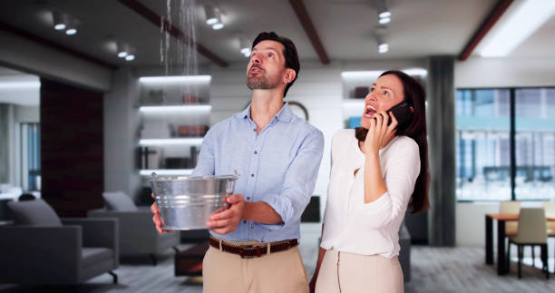 Best Water damage restoration near me  in Vernonia, OR