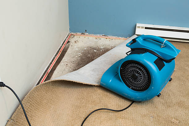 Best Water damage restoration experts  in Vernonia, OR